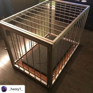 Cage par Hazzy